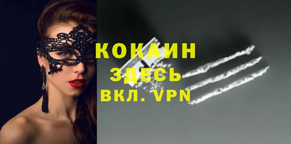 амф Пестово