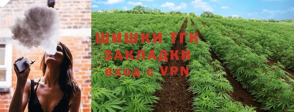 гидра Аркадак