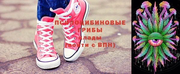 гидра Аркадак
