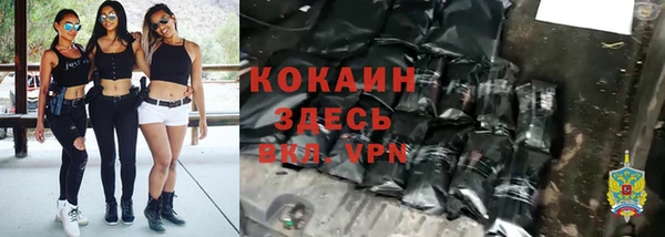 гидра Аркадак