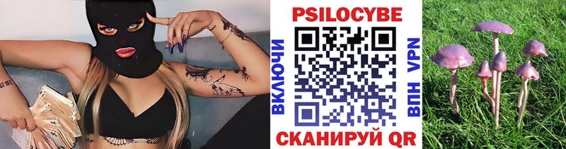 Галлюциногенные грибы GOLDEN TEACHER  OMG ССЫЛКА  дарк нет какой сайт  Поворино 