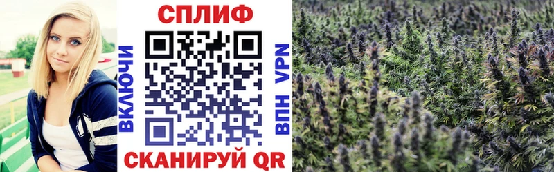 Бошки Шишки Bruce Banner  продажа наркотиков  Поворино 